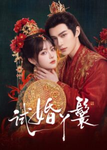 مسلسل خادمة المحاكمة The Trial Handmaiden الحلقة 12 مترجمة