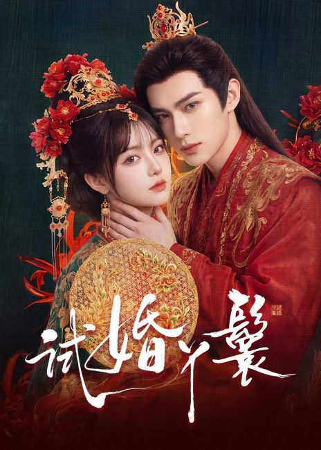 مسلسل خادمة المحاكمة The Trial Handmaiden الحلقة 11 مترجمة